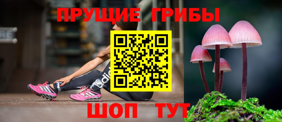 Галлюциногенные грибы MAGIC MUSHROOMS  Вход с VPN  Псилоцибиновые грибы мухоморы  Кумертау 
